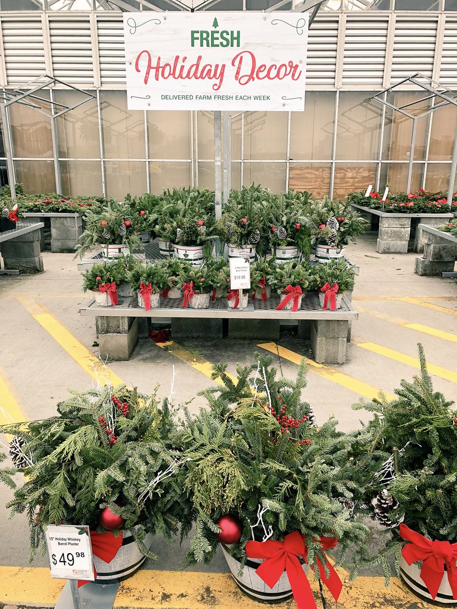 In need of holiday greens? From wreaths.. to roping.. planters.. and shrubs galore! Swing into 4120 for your Holiday Decor! <a href="/D_Liberato1/">Debbie Liberato</a> <a href="/JimTeoli/">Jim Teoli</a>