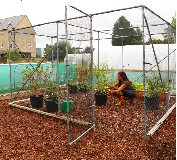 So this week I am going to be cheeky and see if there is anyone the maybe able to supply us with two fruit cages these are an important part of the build, any contacts would be great. #HELP_ME #help #possibledonation #supportourveterans #veteransvoices