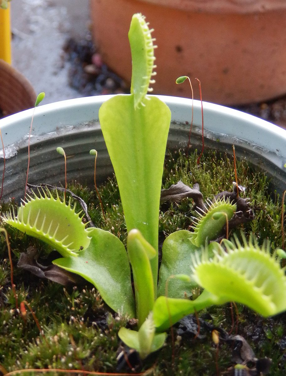 DtaalPzVAAA--jV.jpg?format=jpg