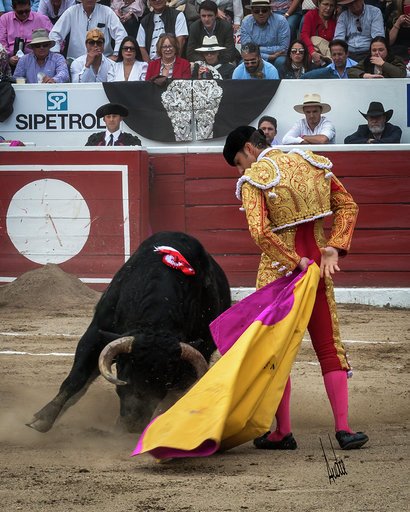 cultorocom's tweet photo. FOTOGALERÍA de @aacosta94 del mano a mano entre Manzanares y Fandi en Latacunga https://t.co/1lYVAMn3gg https://t.co/suXR6uegN5