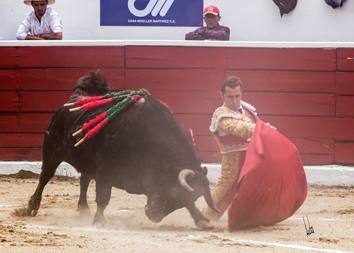 cultorocom's tweet photo. FOTOGALERÍA de @aacosta94 del mano a mano entre Manzanares y Fandi en Latacunga https://t.co/1lYVAMn3gg https://t.co/suXR6uegN5