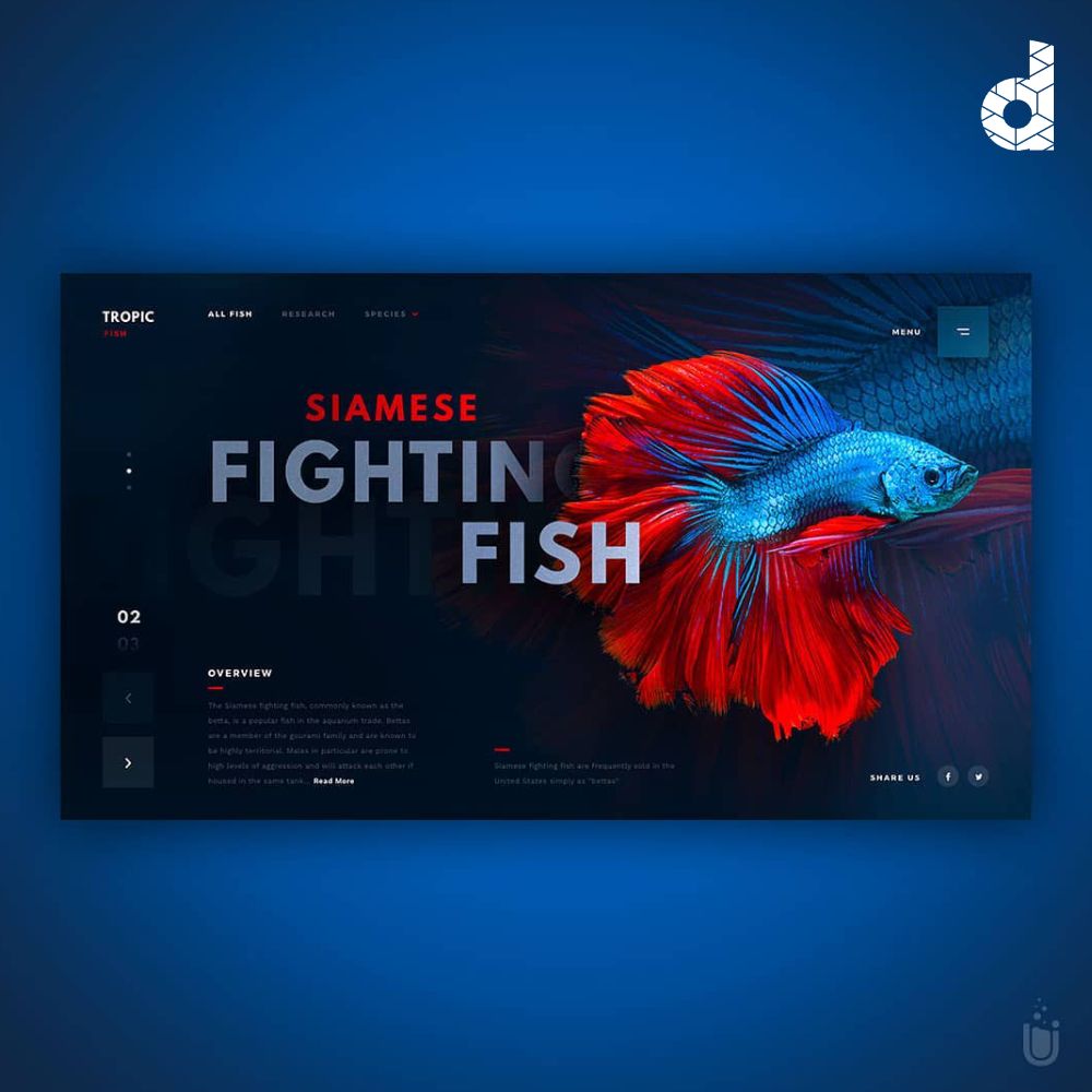 DealersLeague's tweet photo. Nice design!! 😇
Made by Cal Notman.
+
#WebSite #Design #WebDesign #WebDesigner #WebSiteDesign #Designer #UI #UX #UserExperience #UserInterface #UIDesigner #UXDesigner #UIDesign #UXDesign #Photoshop #dribbble #uxui #DigitalDesign #marketingdigital #ui__ux #ThisIsUxDesignerWorld https://t.co/T0virO9wpK