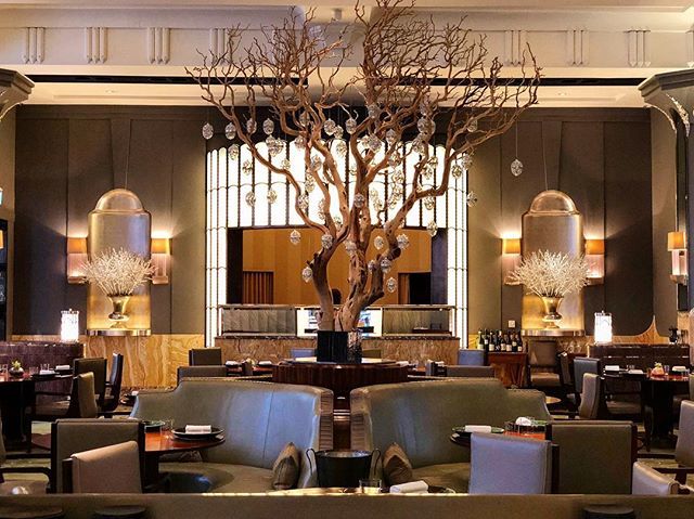 Fera at Claridge's tweet media