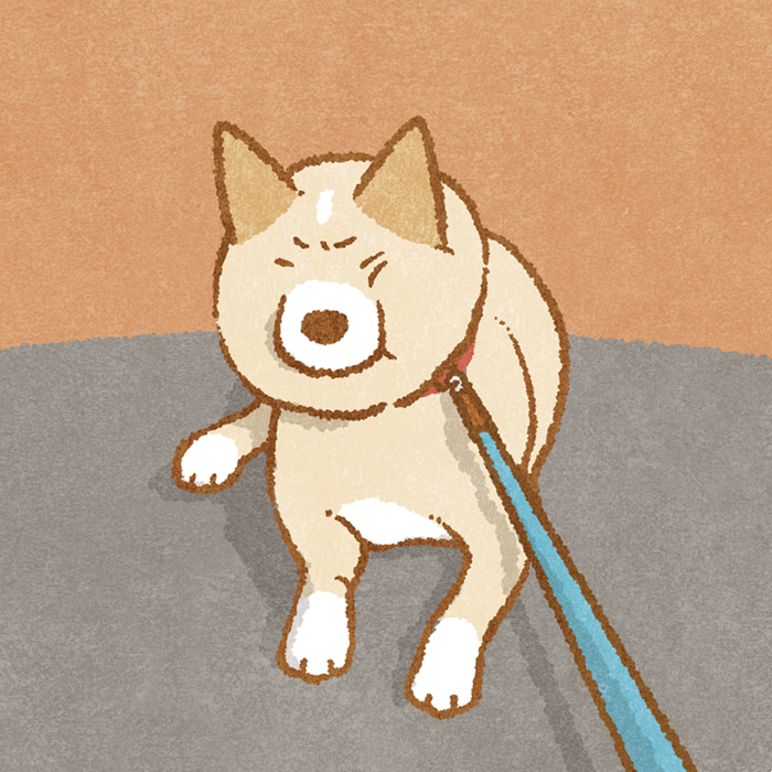 犬のい 日曜犬絵室 持久戦