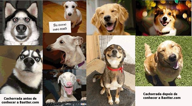 Bastter's tweet photo. Venha fazem parte dessa cachorrada! Veja nosso planos em https://t.co/L4c4q7LoIA
#bastter #bastterblue #sardinhanão #saiadocardume #aprendaainvesir #ações #rendafixa #invistatranquilo #vivafeliz #independênciafinanceira #educaçãofinanceira #tranquilida… https://t.co/CnV2z6G5Az https://t.co/Cf3HuX2UR6