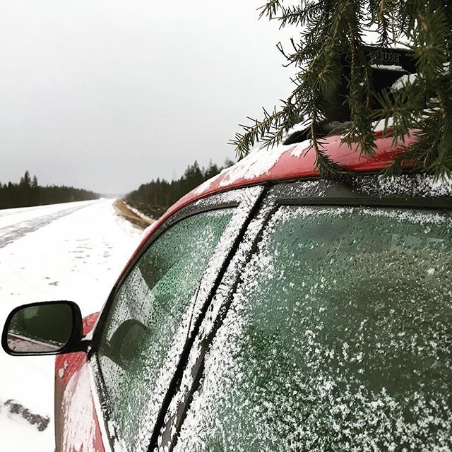 VisitRovaniemi's tweet photo. Just came to tell you dear people that we got some snow today here in Rovaniemi. #visitrovaniemi #rovaniemi #snowsituation https://t.co/Fkavz27dbq https://t.co/E3p59HGVkE