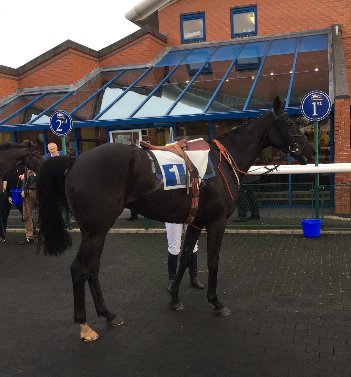 LeicesterRaces's tweet photo. Congratulations to Trans Express! Winner of the third race 🐎 1.45pm 🏁 https://t.co/7cyJgO06gg