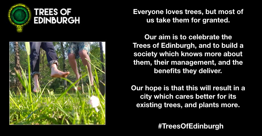Trees Of Edinburgh tweet media