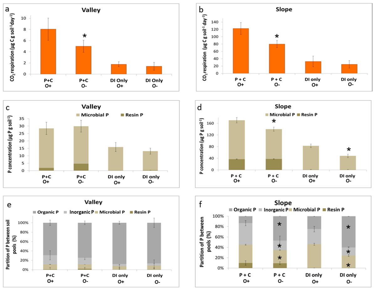 soils_mdpi's tweet photo. #mdpisoilsystems #SoilOxygen Limits #MicrobialPhosphorusUtilization in Humid Tropical Forest #Soils https://t.co/F3okeh4zih @MDPIOpenAccess @Jeffinerca @whendeesilver @ESPM_Berkeley @BenGurionUni https://t.co/S2dRRFgLYV