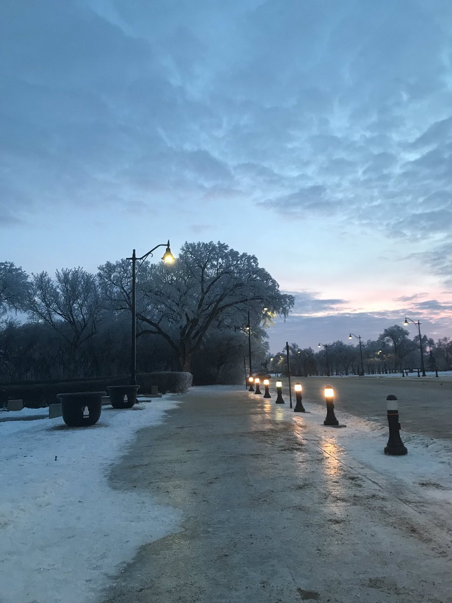 WeRunRegina's tweet photo. So excited to run through @WascanaCentre while the sun is rises on these beautiful winter trees #yqr #winterrun https://t.co/PMohn8HeS2