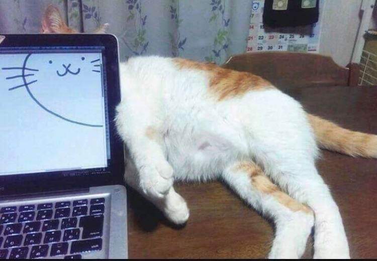Sfigatto's tweet image. QUANDO TI FAI UNA FOTO E POI ESAGERI COI FILTRI