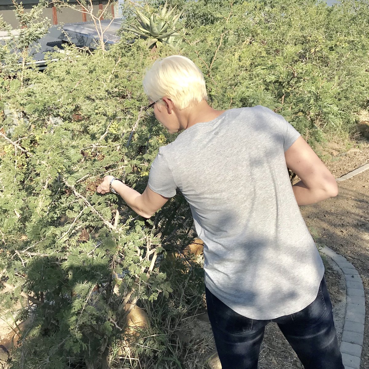 Foraging for something new 🌱 for all of you 🙌 😉 Stay tuned...

I hope you get to enjoy the great outdoors today 🏔🏝🏕