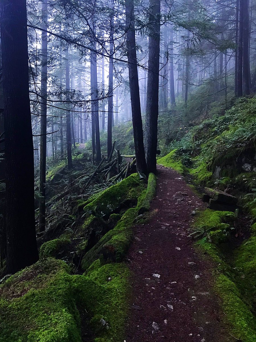 𝐓𝐨𝐧𝐲 tweet media