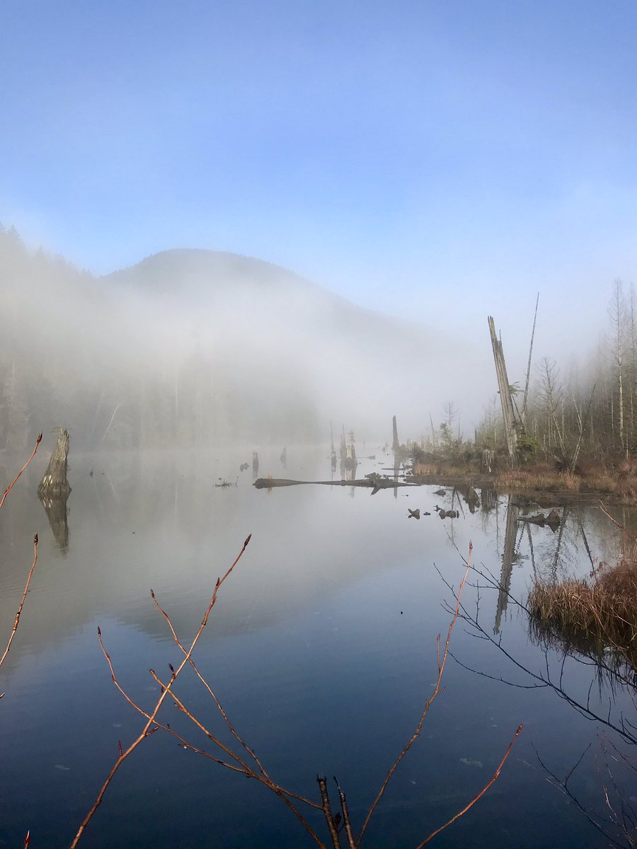 𝐓𝐨𝐧𝐲 tweet media