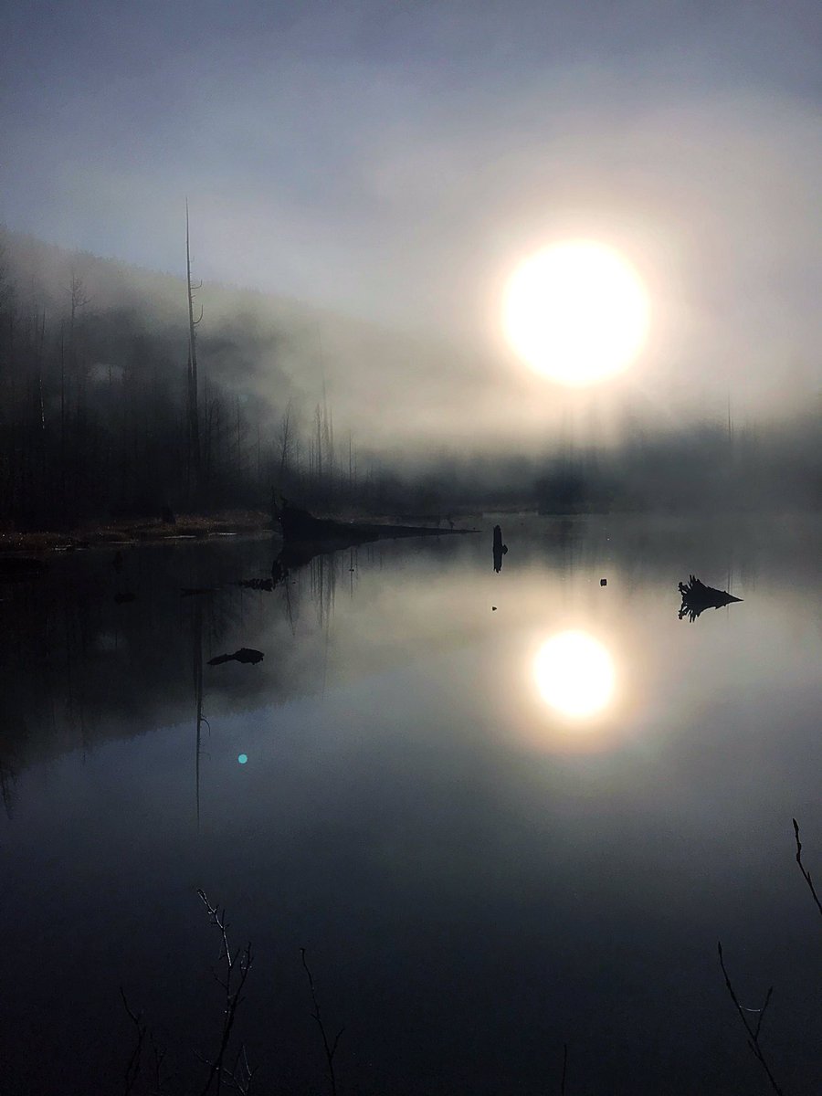 𝐓𝐨𝐧𝐲 tweet media