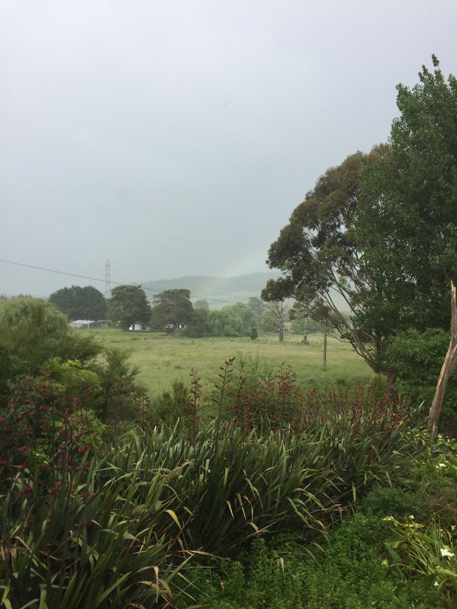 FoxyLustyGrover's tweet photo. Not a very clear photo, but this is the first Rainbow I have seen in the flesh since the day #SimoneWadham passed. I think she knows I put 400 fairy light on her and Mum's tree yesterday. 💃🌈🌳🕯️ https://t.co/tXGleRMp7o
