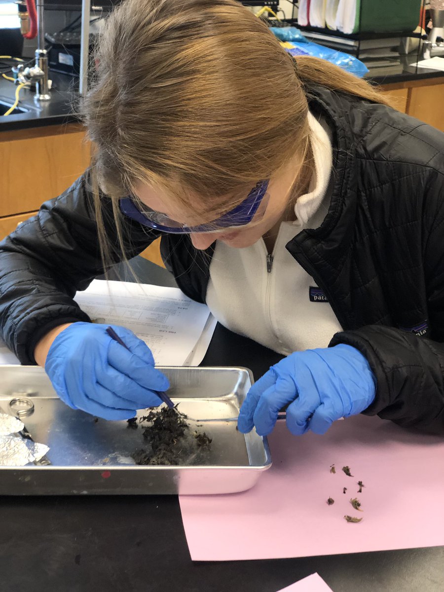 BrianMcFarland tweet media