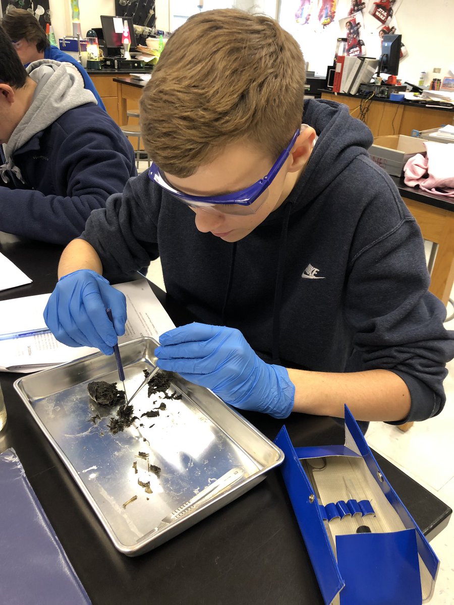 BrianMcFarland tweet media