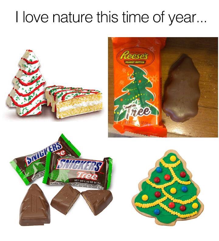 Shelby Minor tweet media