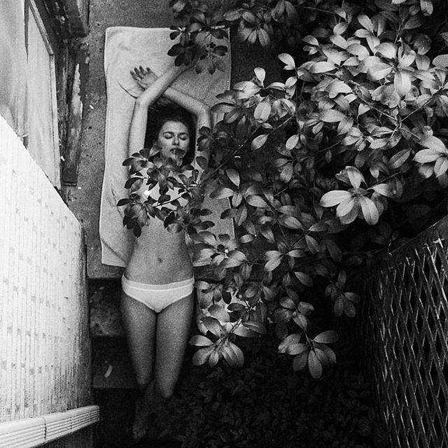 patriziaperrino's tweet photo. #Flowers_for_You
π·#_____ph____Bryan_Liston
_ https://t.co/sKwaPxjK6e
