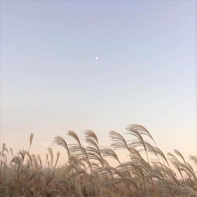 1styouthming's tweet photo. ➖🕊 𝒚𝒐𝒖𝒕𝒉𝒎𝒊𝒏𝒈 , 𝑻𝒂𝒆𝒚𝒆𝒐𝒏 𝑲𝒊𝒎 [ 𝟏𝟗𝟖𝟗’𝒔 ]
𝑰 𝒋𝒖𝒔𝒕 𝒘𝒂𝒏𝒏𝒂 𝒃𝒆 𝒘𝒊𝒕𝒉 𝒚𝒐𝒖♡ https://t.co/x6wKnFUM1i