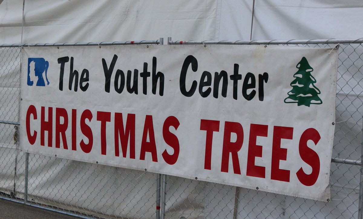 YouthCenterInc's tweet image. The 19th Annual Youth Center Tree Lot has moved to 5047 Katella Ave. Cypress, CA. The only tree lot that gives back 100% to local youth. Fresh real trees, wreaths, garland and more. More info at buff.ly/2Dole7w #TreesForKids