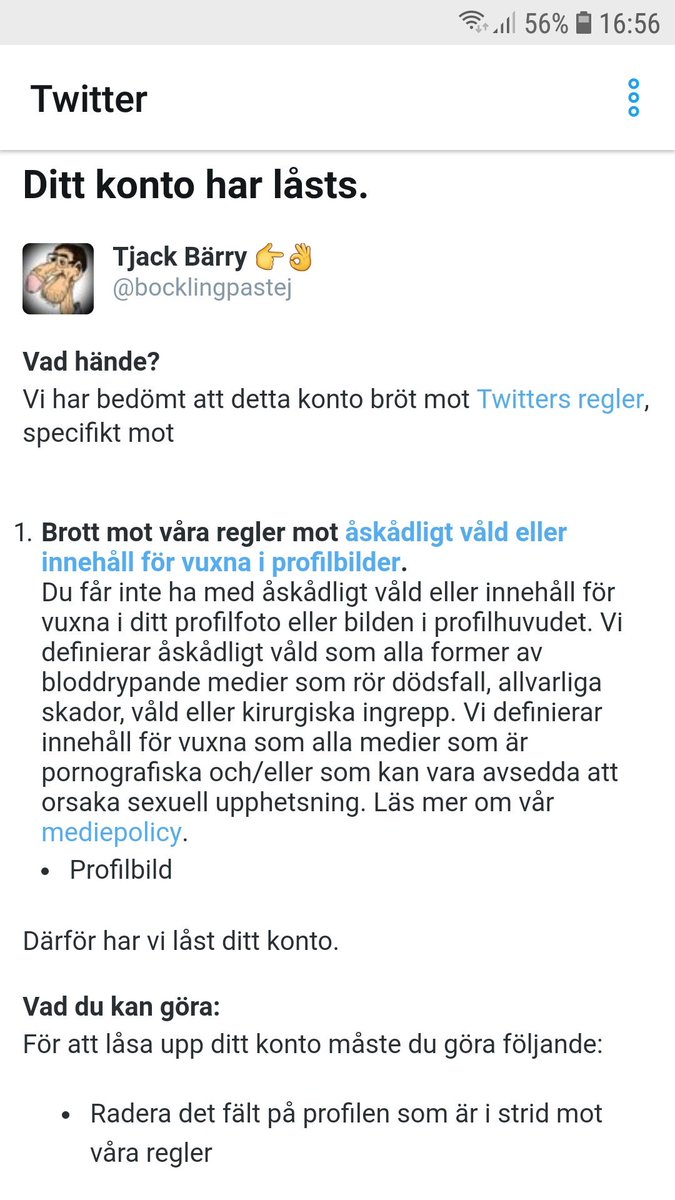 bocklingpastej tweet picture