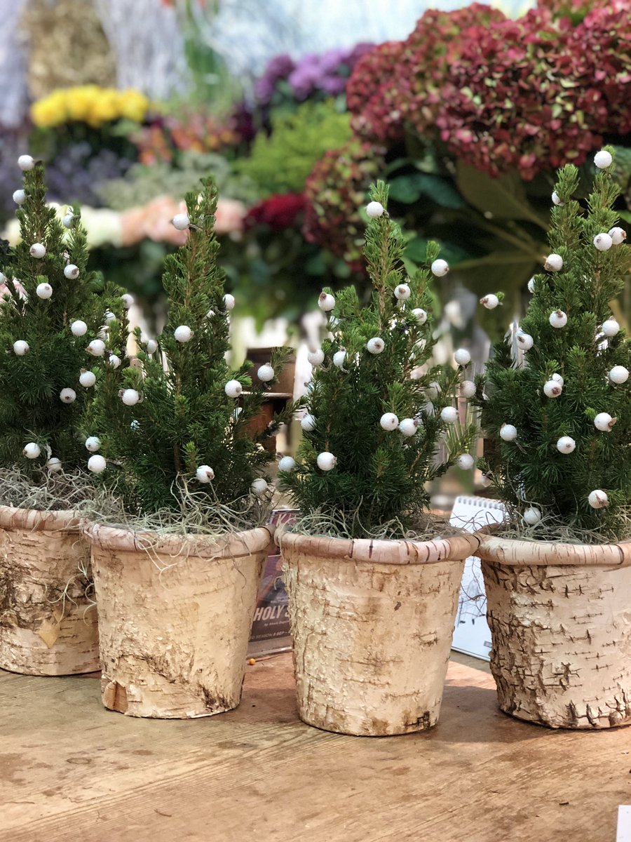 Pot Pourri Flowers tweet media