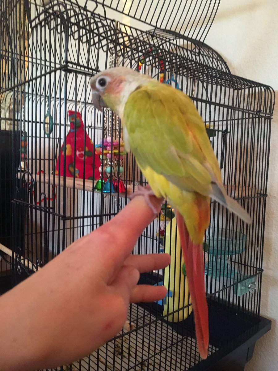 SalesMachine777's tweet image. Sending a #tweet