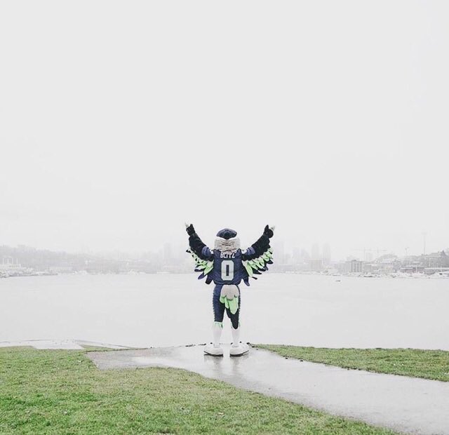 hawks_fanguy's tweet photo. Good Morning Seattle!!! Now wake up and get ready it’s GAMEDAY in Seattle! SEA......... #GoHawks #Gameday #12s #NFL #NFLMascot #20yearsofBlitz https://t.co/A22XAWFwdE #Seahawks