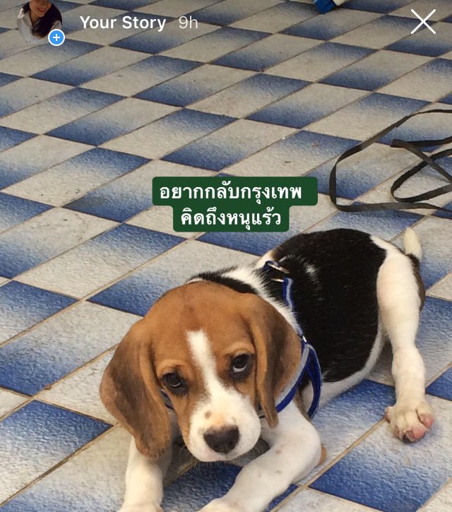 bleuarte's tweet photo. อีชาลีมึง ........................ https://t.co/Pi0uP33OEV