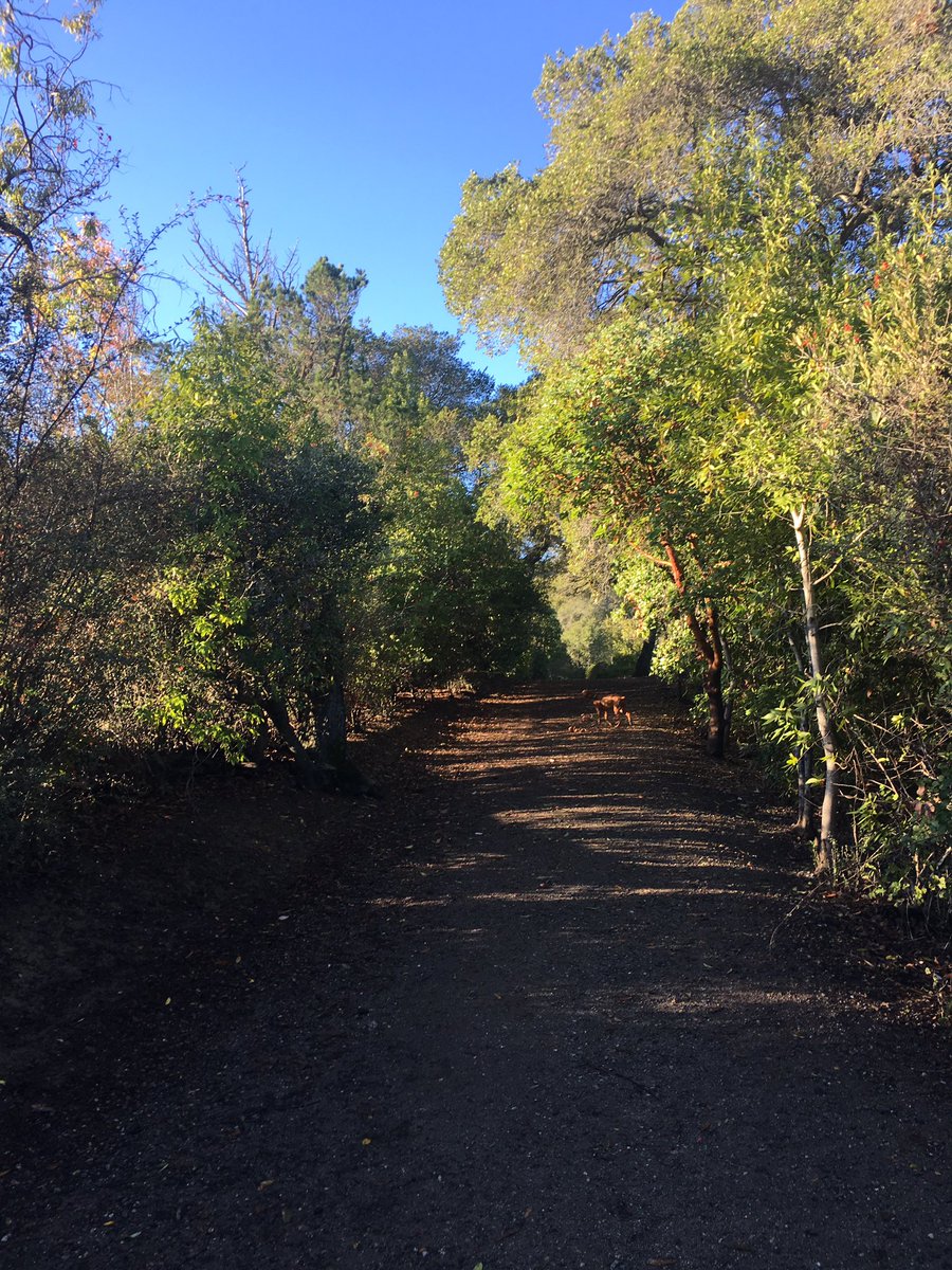DrStevenFrick's tweet photo. As President of @POSNA_org am incredibly proud of #IPOS2018. The morning after is a beautiful time to reflect on what path you are on, where you want to go, and what difference we can make. With gratitude for our great faculty, staff and attendees. Looking forward to #POSNA2019 https://t.co/qXJIFCFbYA
