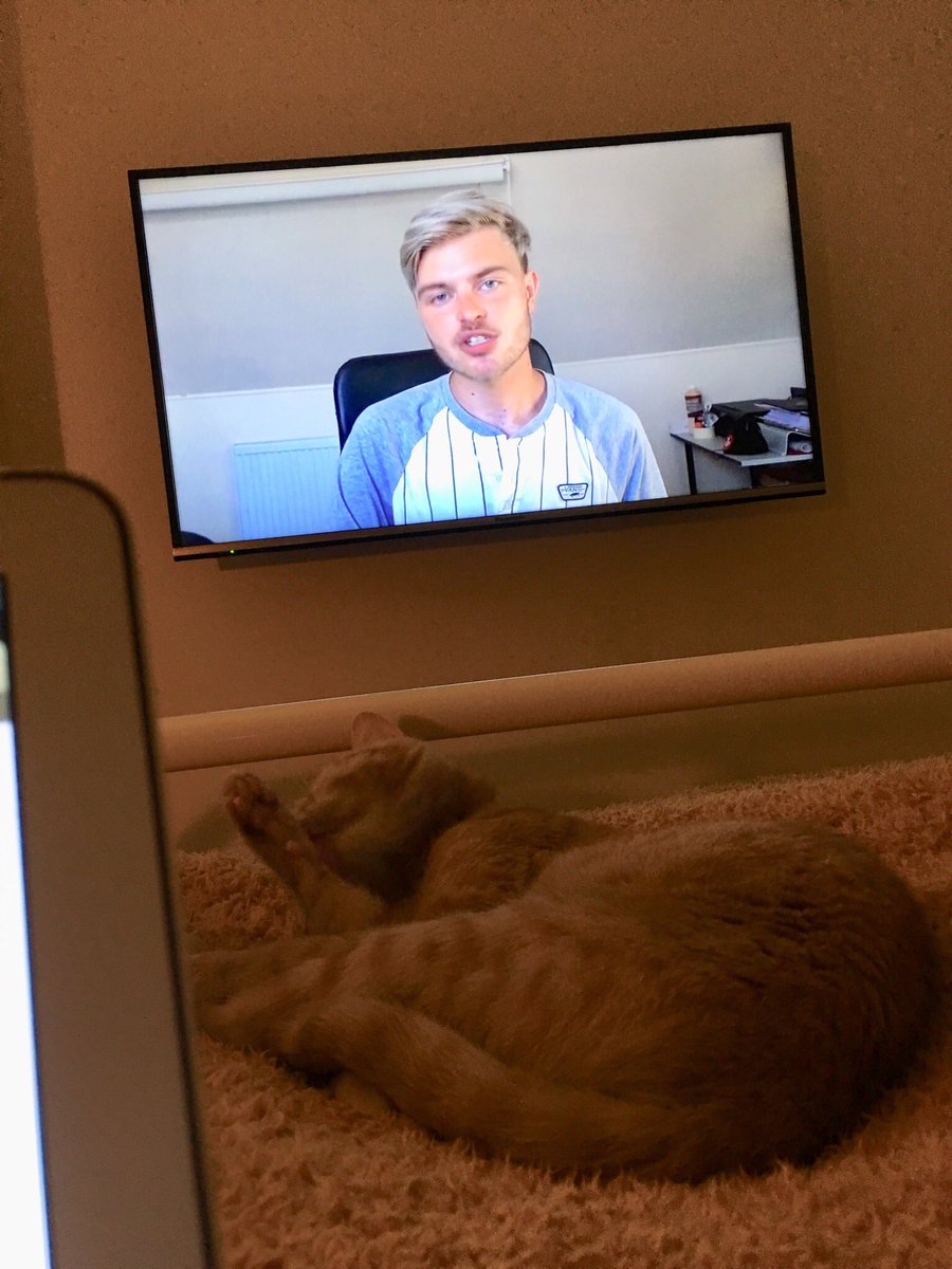 timcosb's tweet image. Binge watching @tom_harlock with my cat 🐈 derek. Because my brain is broken! 🧟‍♂️