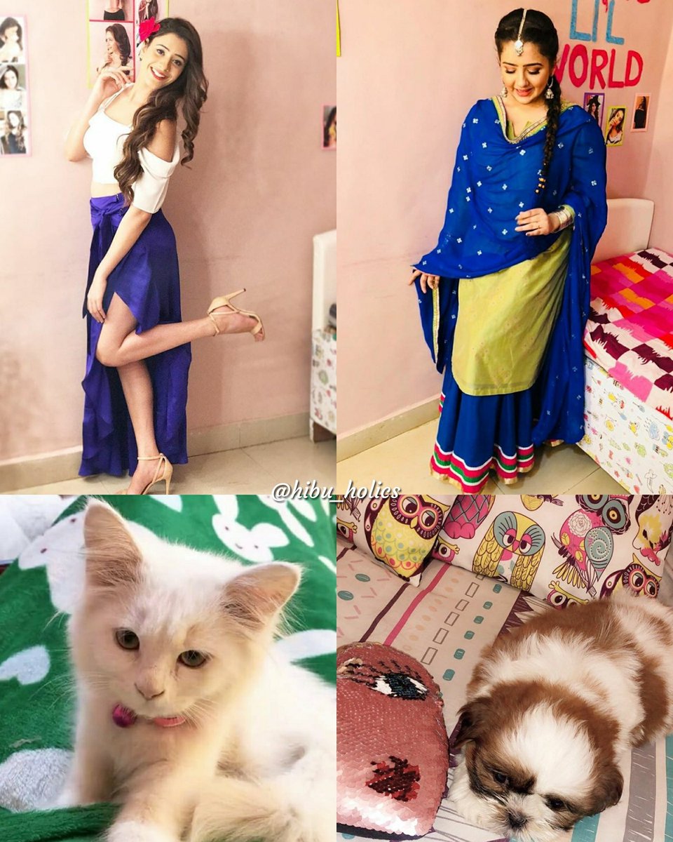 hibu_holics's tweet photo. Hibu ki pet cat 🐈 Snowy and raashu ki pet dog 🐕 Precious. They are animals lover 😍😍😍
• 
@nawab_hiba
@RaashiBawa 
#hibu #hiba #hibanawab #elu  #hibanawab1million #hibanawab1m #sunshinehiba #sunshinehibu #elaichi #ilaichi #jcph  #jijajichhatperhain #hiba_holics https://t.co/BEYhCBHW9S