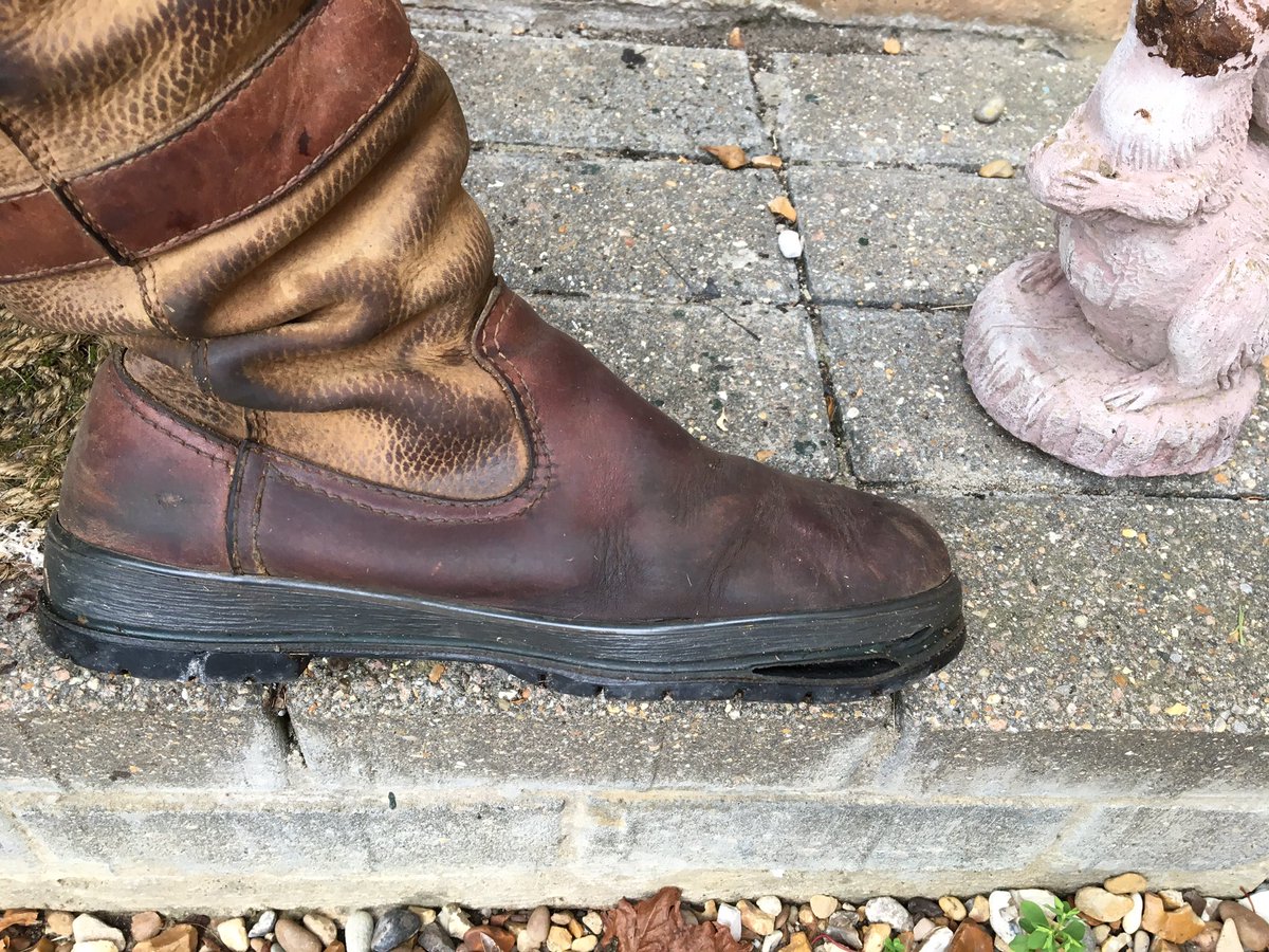 Donya Shepherd tweet media