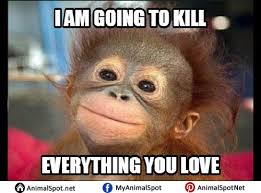 monkeyspectre's tweet photo. @monkeyMagaKAG @joshua_nimmons @Comey https://t.co/e29UImJ1wa