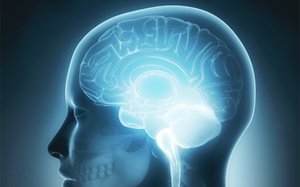 salivatesting's tweet photo. Beyond the HPA-axis: Exploring maternal prenatal influences on birth outcomes and stress reactivity https://t.co/KrtYOMWqxB #AlphaAmylase #BirthOutcomes #Cortisol #Interleukine6 #Pregnanc #Stress #HPAaxis #StressReactivity https://t.co/854MaiP0uz