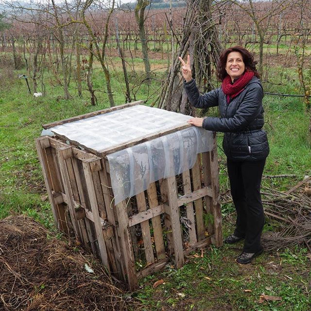 Boscodiogigia's tweet photo. La compostiera è piena di materia organica gialla e verde. A primavera conto su un buon compost per il mio orto 🍎🍆 #compost
#compostiera
#materiaorganica
#orto #vegetablegarden #synergisticgarden #ortosinergico #ortourbano #permacultura #picoftheday … https://t.co/c5lVqxkpjP https://t.co/OUnZE3DLgz