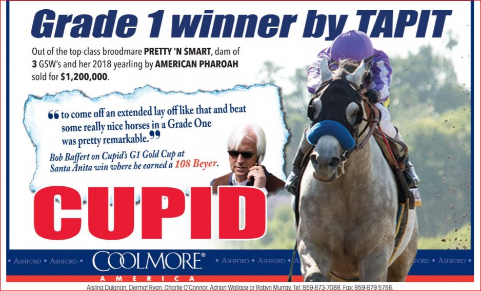 Coolmore America (coolmoreamerica) Twitter