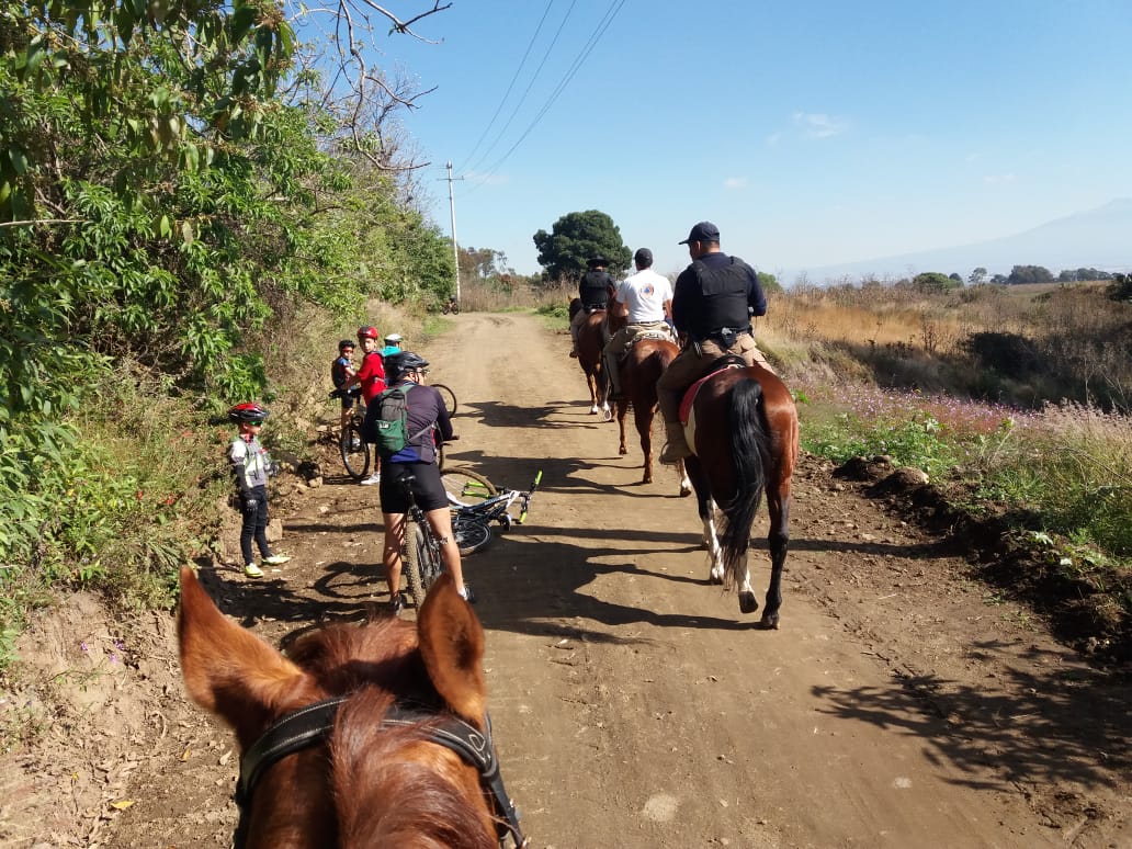 SSC_Cholula's tweet photo. #FelizDomingo ¡Ven a disfrutar con tu familia de este domingo soleado a #Cholula! El Cerro Zapotecas es una excelente opción si lo tuyo son las actividades deportivas al aire libre. Personal de la Guardia Forestal de la @comisariacholul te esperan. #MásUnidosMásLogros https://t.co/ydg6LWn4Kb