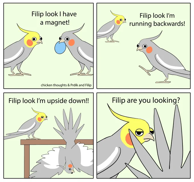 We all know someone like Prdík... #birb 