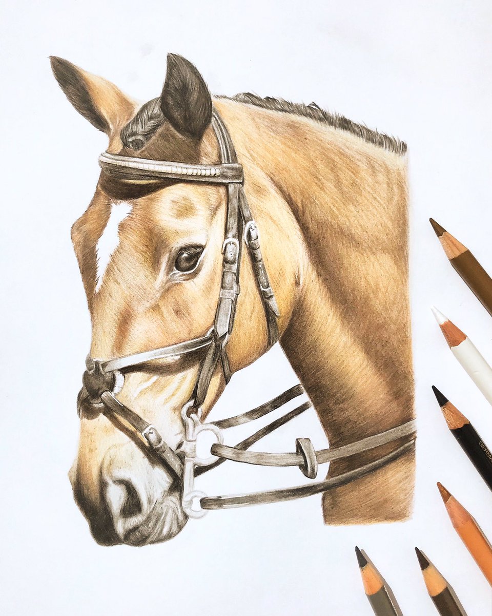 lauramaryart's tweet photo. Still looking for something special for your loved ones? Pet portraits gift vouchers are the perfect bespoke gift for animal lovers 🎁❤️ 

Available on https://t.co/cDx51SFLOO

#handmadehour #equinehour https://t.co/HVxocvdVvv
