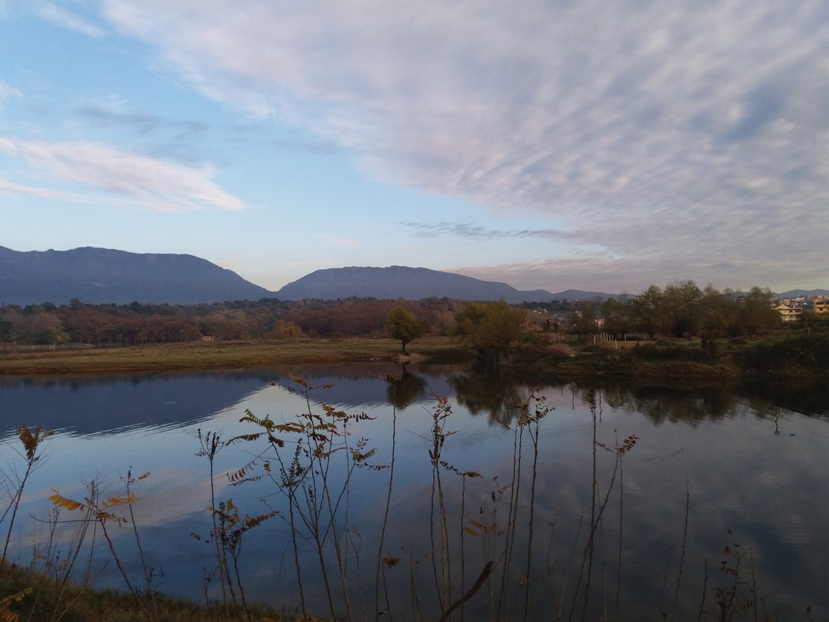 JoanaZh's tweet photo. Peaceful nature @GrandLakeTirana, 🇦🇱

#ExploreTirana https://t.co/0lUFWX6MHl