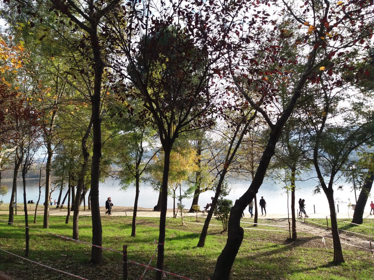 JoanaZh's tweet photo. Peaceful nature @GrandLakeTirana, 🇦🇱

#ExploreTirana https://t.co/0lUFWX6MHl