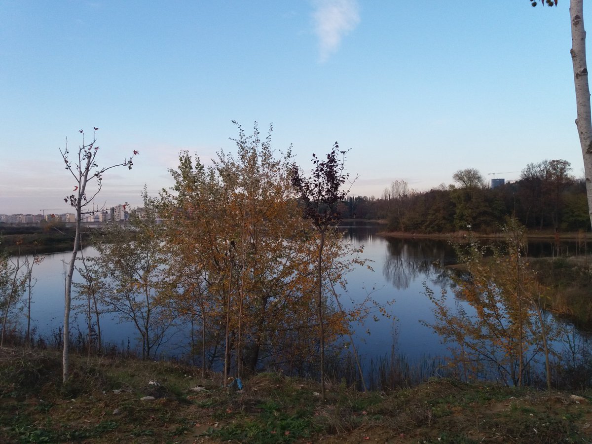 JoanaZh's tweet photo. Peaceful nature @GrandLakeTirana, 🇦🇱

#ExploreTirana https://t.co/0lUFWX6MHl