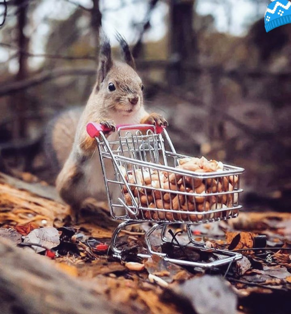 23ljilja's tweet photo. @elinegabriel @KingJohn1776 @mami_mami813 @Gerryscot1 @lisasmith2341 @lalipopbubbles @JenaC2 @HeidiStea @mofaizal09 @bettinaschroed5 @yuad127 @peac4love @Amber02150 Hello🤗😘
#happyday
#happyevening
#HappyNewWeekFriends
😊🎶☕🍰🍯
#goodvibesONLY https://t.co/Udy5bfHR4f