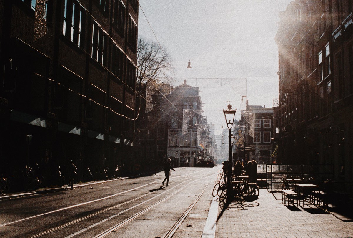 amsterdamming's tweet photo. In Between Autumn and Winter >>> https://t.co/QhfWn7Levw #Amsterdam #netherlands #photography #filmphotography #Autumn https://t.co/yQUY0TSokQ