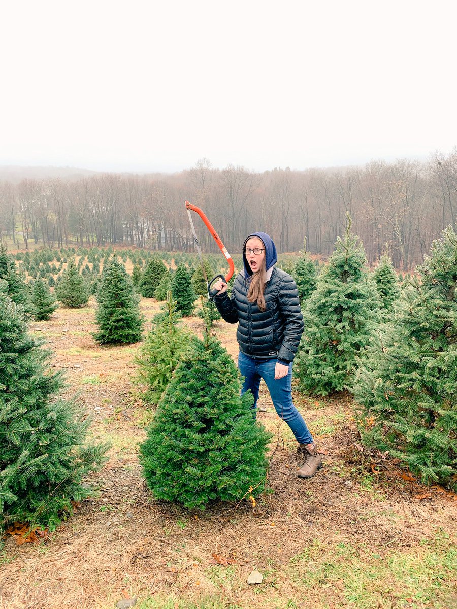 I got a baby Christmas Tree today.🎄