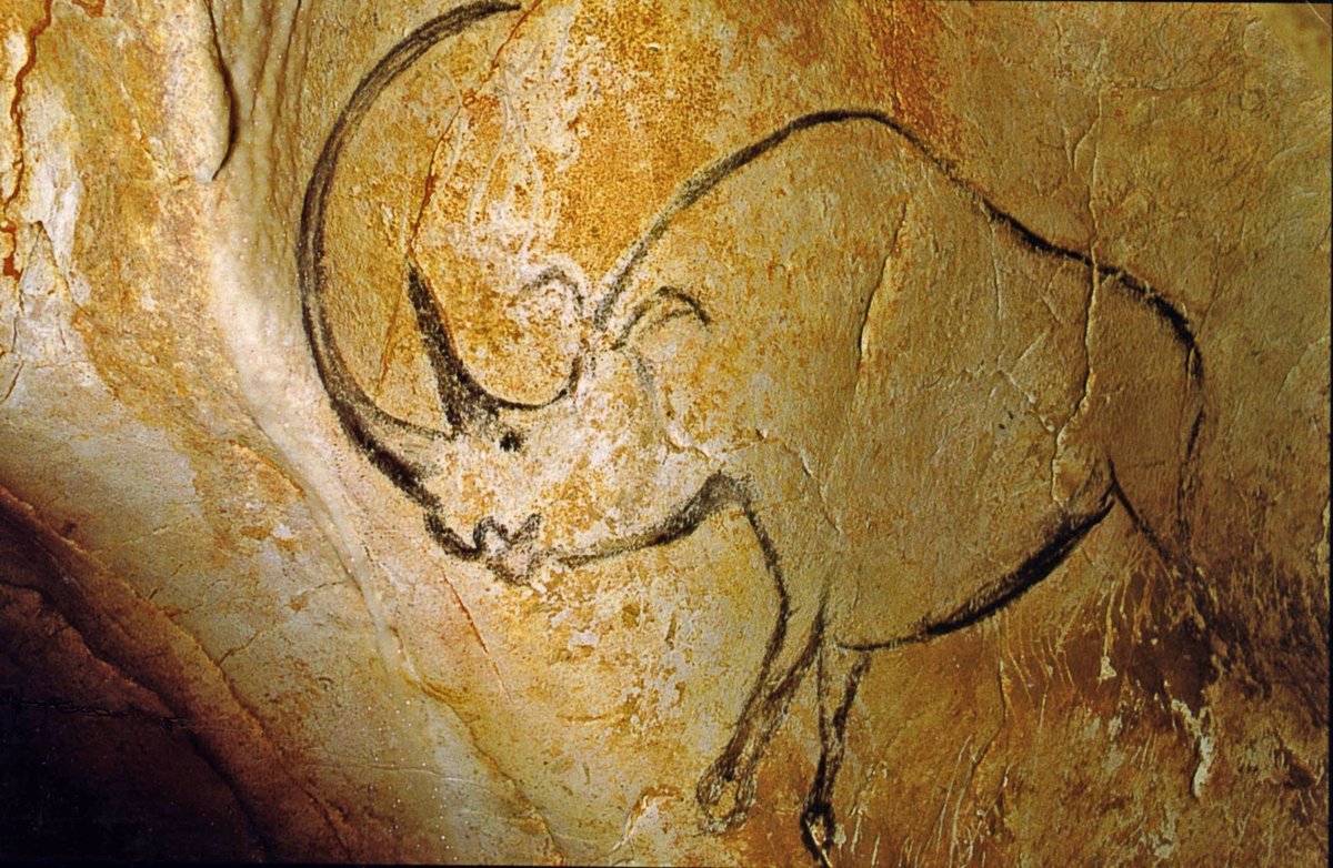 Jamie_Woodward_'s tweet photo. This woolly rhinoceros was sketched on the wall of Chauvet Cave over 30,000 years ago. It is believed to be a female since their horns are longer and thinner than those of males #IceAgeBeasts #IceAgeArt #IceAgeFrance

Image source https://t.co/5elFskUwOZ https://t.co/EOM2ozu09m