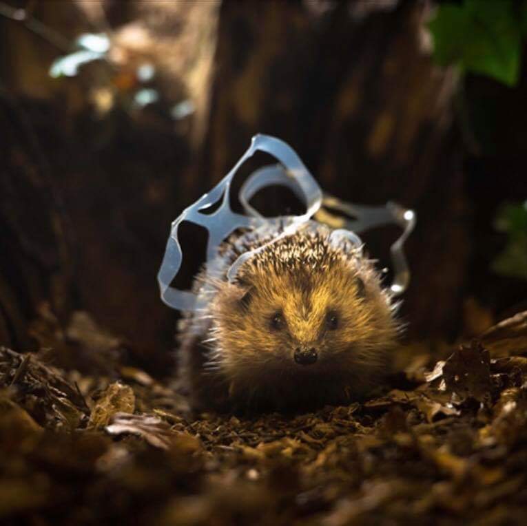 Pete Fillery 🌎 tweet media